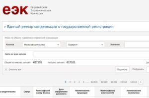 Registro Estatal Rusia